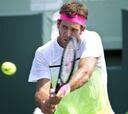 Del Potro reaparece con una derrota ante Pospisil en Miami