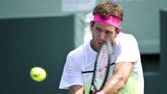Del Potro reaparece con una derrota ante Pospisil en Miami