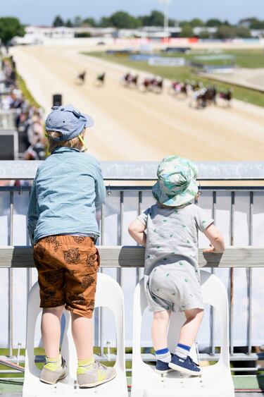 Dos niños observan las carreras de caballos subidos en unas sillas en las instalaciones de Addington Raceway (Nueva Zelanda), un recinto que cuenta con una pista de trote, una de galgos, un centro de conferencias y varios restaurantes.  