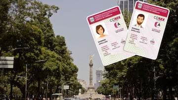 Los únicos que podrán tramitar su licencia de conducir en línea son quienes tienen la tipo A vigente.