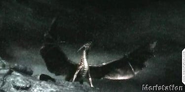 Nuevos detalles de Lair para PlayStation 3