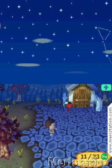 Animal Crossing: Wild World, Impresiones
