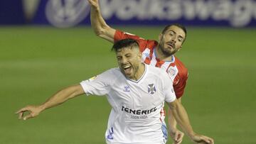 Paciencia por el futuro de Zarfino