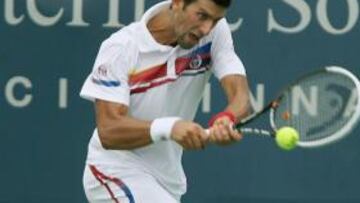 Djokovic aspira hoy a su décimo torneo del año