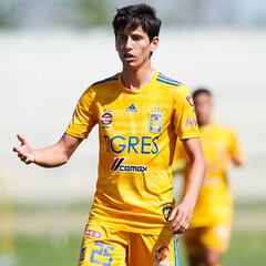 Olvida Jürgen Damm que no hay entrenamientos en Tigres