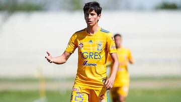 Jürgen Damm, Tigres