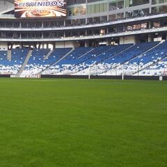 Monterrey busca convertir su estadio en Mundialista