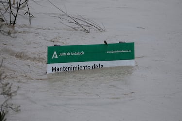 Un panel informativo del gobierno andaluz inundado cerca del Puente Romano, durante las fuertes lluvias.