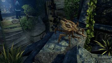 Captura de pantalla - The Elder Scrolls Online (OSX)