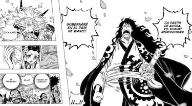 One Piece 1051 zanja el debate: ¿quién es el último miembro de los Sombrero de Paja?