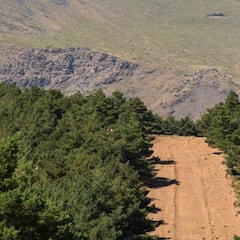 ¿Por qué hay líneas sin vegetación en las montañas en España? Esta es la explicación a los cortafuegos