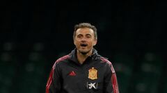 El seleccionador español nunca ha sido cesado en su carrera como entrenador. Ha entrenado al Barcelona B, Roma, Celta, Barcelona y actualmente a la selección española.