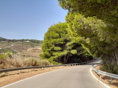 Pequeño descanso antes de los dos kilómetros finales. ¿Os acordáis de la hilera de pinos?