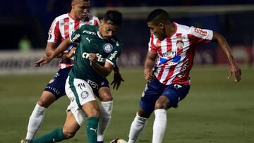En vivo online Palmeiras - Junior, por la fecha 4 de la Copa Libertadores 2019, que se jugará en estadio Allianz Parque a partir de las 7:30 p.m., el miércoles 10 de abril de 2019.