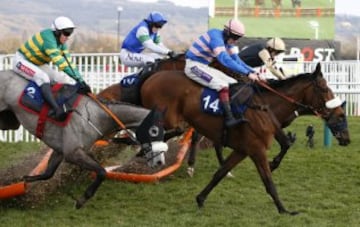 La espectacular caída de un jinete en el Festival de Cheltenham