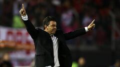 Gallardo: "Felicito a mis jugadores por su esfuerzo"