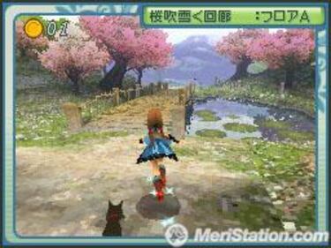 Riz Zoawd, Impresiones