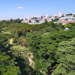 A retiree plants 40,000 trees in 21 years and creates one of the largest linear parks in the world: “It’s not just digging holes”