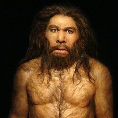 Asombro científico al confirmar apareamientos entre Homo sapiens y neandertales