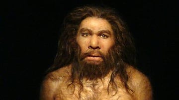 Asombro científico al confirmar apareamientos entre Homo sapiens y neandertales
