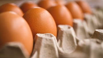 El truco viral para saber si un huevo está cocido o todavía sigue crudo