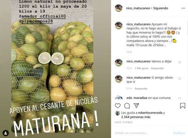 "No le hago asco al trabajo": el jugador de Colo Colo que vende y reparte limones