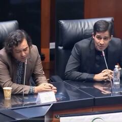 Enjambre hace cantar al Senado de la República