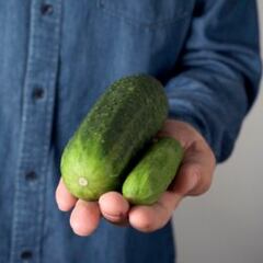 Cucumbers recalled in several US states: could they have salmonella and how can you know?