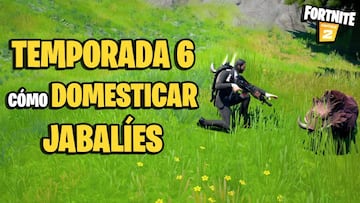 &iquest;C&oacute;mo domar jabal&iacute;es y hacer que ataquen a enemigos en Fortnite Temporada 6?