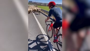 Marc Márquez va en bici y se cruza con un rebaño de ovejas: su reacción define su buen humor