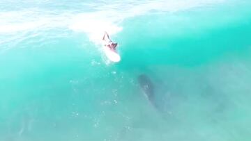 Un surfista realizando el take off en una ola mientras debajo suyo pasa un tiburón de 3 metros en Hawái (Estados Unidos), en octubre del 2022.
