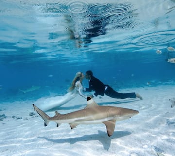 Los fundadores de One Ocean Diving, Juan Oliphant y Ocean Ramsey, dándose el beso que les une en matrimonio entre tiburones, en Tahití (Polinesia francesa). 