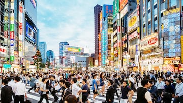 Zebra crossing in Shinjuku, Tokyo at sunset.