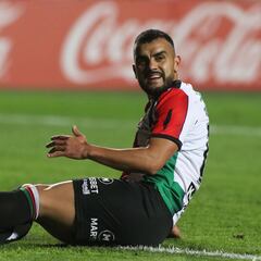 La millonaria farra de Palestino en la Copa: perdió US$ 500 mil