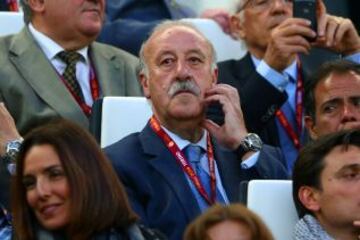 Vicente del Bosque.