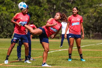 La Selección Colombia Femenina dejó atrás la celebración por clasificar al Mundial y los Juegos Olímpicos y se enfoca en la final de la Copa América ante Brasil este sábado en el Alfonso López de Bucaramanga.