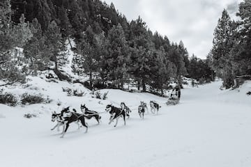 Mushing en Andorra