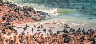 La Costa de los Esqueletos es uno de los paisajes más bonitos pero también inhóspitos de toda África