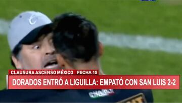 Se volvió loco Maradona: así reaccionó al gol de su equipo