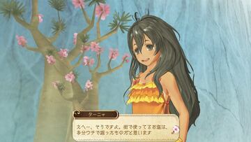 Captura de pantalla - Atelier Ayesha: The Alchemist of Dusk (PS3)