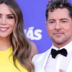 Una tortilla de patatas ‘enfrenta’ a Rosanna Zanetti y David Bisbal: “Lo siento, amor”