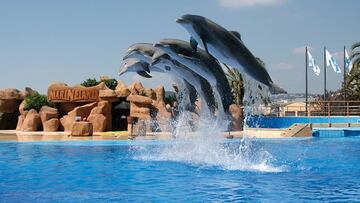 Declarada en quiebra una de las empresas de atracciones más visitadas por los chilenos: recibía miles turistas cada año