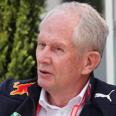 "Vettel no hizo nada malo"