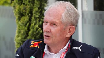 Formula One F1 - Azerbaijan Grand Prix - Baku City Circuit, Baku, Azerbaijan - April 26, 2019   Red Bull advisor Helmut Marko   REUTERS/Maxim Shemetov