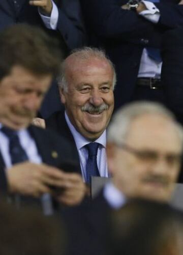 Vicente del Bosque.