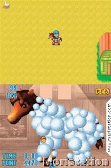 Harvest Moon DS