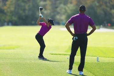 'Baby Tiger' ya ruge