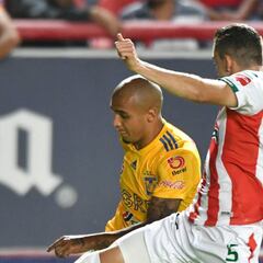 Tigres vs Necaxa, cómo y dónde ver; horario y TV online