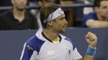 David Ferrer.