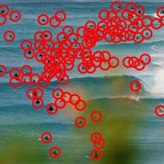 Superbank: ¿las olas más masificadas del mundo?